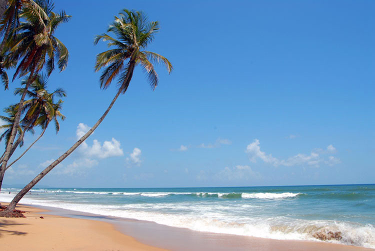 Colvá_beach car rental madgao goa